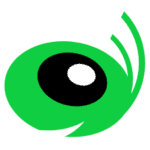 Green cartoon eye logo representing TrueNumber digital solutions for enhanced communication and data security.